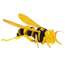 Maquette 3D en papier Frelon - Fridolin
