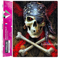 Diamond Painting Broderie Diamant LUMINLIFE 40x50cm, 100% strass, diamants ronds - Top pirate