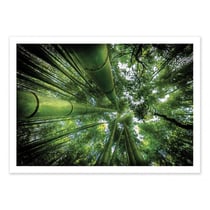 Affiche 30x40 cm - ARASHIYAMA - David Ros