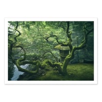 Affiche 30x40 cm -  Japanese Tree - Javier De La