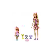 Barbie et Chelsea theme anniversaire