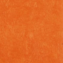 PAPERTREE 50*70 LOKTA PAPER Curry - Lot de 10 feuilles