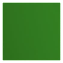 Papier cartonné texturé Florence - Grasshopper - 20 feuilles - 30,5 x 30,5 cm - 216 g/m²