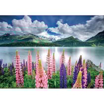Puzzle lupins sur les rives du lac de sils 1500 pieces - collection paysage suisse - educa - 19271