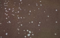 PAPIER ROCHER 2.5*0.7 m