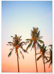 Poster Nature Tropicale 3 | A3 : 29,7x42cm