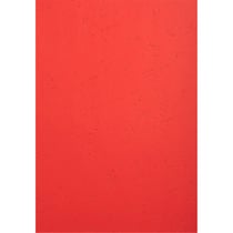 Paquet de 100 couvertures Grain cuir pour reliure A4 - Rouge - Papeteries de Clairefontaine