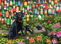 Puzzle 500 pièces - Pièces XXL - Good Boys - Cobble Hill