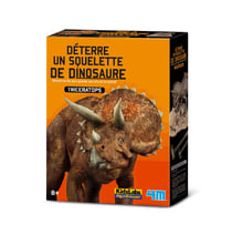 Kit pour déterrer un Dinosaure Triceratops
