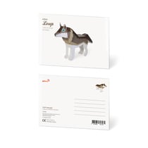 CARTE POSTALE LOUP
