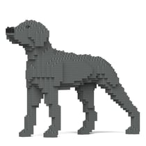 Chien Braque de Weimar Taille standard | JEKCA | 14 ans et +