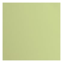 Papier cartonné texturé Florence - Tous niveaux - 20 feuilles - Anise - 30,5 x 30,5 cm - 216 g/m²