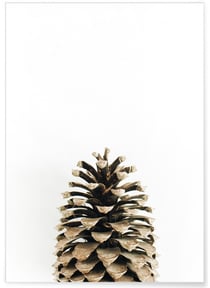 Poster Pomme de pin | A3 : 29,7x42cm