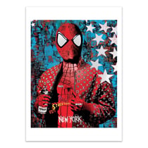 Affiche 30x40 cm - Vandal Spider - Mr Pablo Costa
