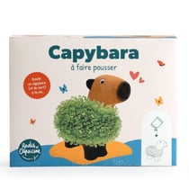 Capybara terre cuite poreuse avec graines de chia