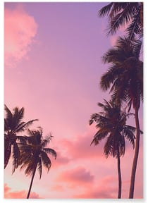 Poster Nature Ciel Rose 4 | A3 : 29,7x42cm