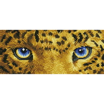 Regard de jaguar