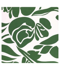 Tissu coton popeline moderne de 150 cm de largeur popelineverte vendu par 50 cm