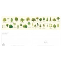 Longue vue editions - Arbres des forêts - Carte double