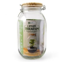 Terrarium à assembler soi-même avec graines d'asparagus à semer