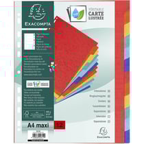 Intercalaires A4+ - 12 Positions - Carte Lustrée 400G - Exacompta