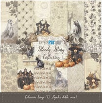 Pochette de 12 feuilles recto verso Bloody Mary Paper for you