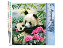 Peinture par Numéro Figured'Art - Pandas Géants - Kit de Loisir Créatif DIY Numéro d'Art Complet - 40x50cm sans châssis en bois