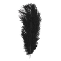 Plume d'autruche, 30 cm, 1 pce, noir