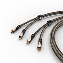 Câble audio coaxial AVINITY - Cuivre argenté - Doré - 2 m