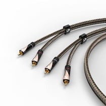 Câble audio coaxial AVINITY - Cuivre OCC argenté - Doré - 1 m