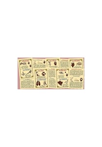 Empreintes d'animaux de nos campagnes