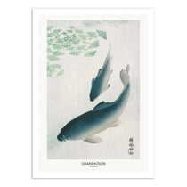 Affiche 50x70 cm - Carp Or Koi - Pictufy