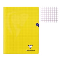 Cahier - 24x32(cm) - Petits carreaux - 96 pages - couverture en polypro - sans spirale - Clairefontaine - Mimesys
