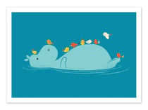 Affiche 50 x 70 cm -  Floating Hippo - Jay Fleck