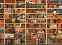 Puzzle 1000 pièces - The Cat Library - Cobble Hill