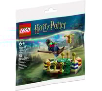 Lego® Harry Potter 30651 L'Entraînement De Quidditch Lego Harry Potter
