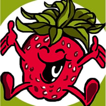 LUC - Kit canevas Soudan Fraise 25x25cm