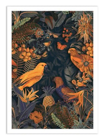 Affiche 50 x 70 cm -  Parrots midnight paradise - Andrea Haase