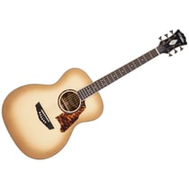 Excel Tammany Aged Sepia Burst D'Angelico