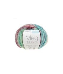Fil à tricoter MEG Multico - Distrifil Multicolore (107)