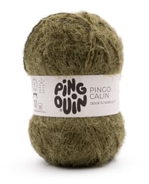 Pingo Calin