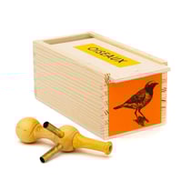 Appeau individuel Rouge-queue à front blanc (en coffret bois)