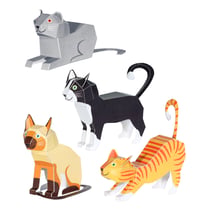 CHATS