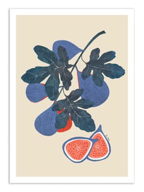 Affiche 30 x 40 cm - Fig tree branch - El Buen Limon