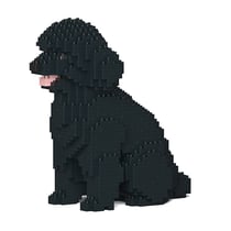 Chien Caniche Nain assis noir Taille standard | JEKCA | 14 ans et +