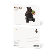 CARTE POSTALE OURS NOIR