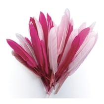Graine Créative - Plumes d'indien pour activités enfant Camaieu rose 15cm