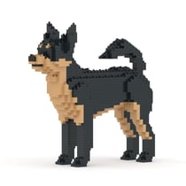 Chien Chihuahua noir Taille standard | JEKCA | 14 ans et +