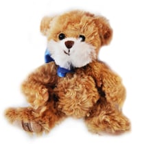Baby Olinek Ours Brun 15 cm ruban bleu