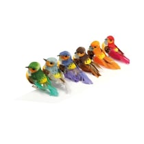 6 oiseaux couleur sur pince - 8x3,5x3,5 cm - Artemio